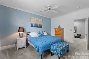 3953 Lake Spring Cove Ct, Denver, NC 28037 - Photo 32