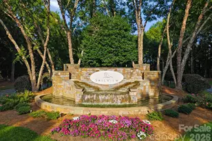 3953 Lake Spring Cove Ct, Denver, NC 28037 - Photo 48