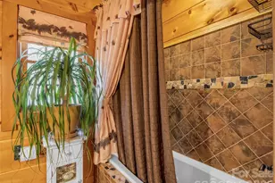 256 Bear Branch Rd, Hendersonville, NC 28792 - Photo 32