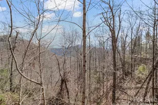 256 Bear Branch Rd, Hendersonville, NC 28792 - Photo 40