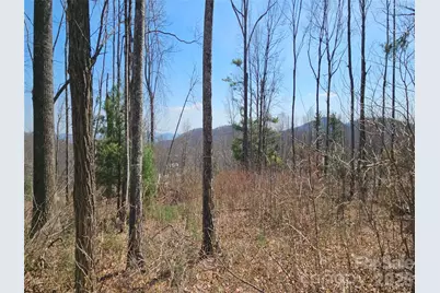 189 Dancing Bear Drive, Hendersonville, NC 28792 - Photo 2