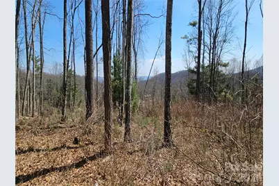 189 Dancing Bear Drive, Hendersonville, NC 28792 - Photo 4