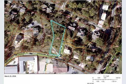 9 Woodbine Road, Asheville, NC 28804 - Photo 4