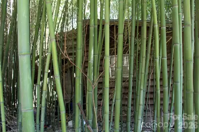 1293 Lake Logan Road, Canton, NC 28716 - Photo 16