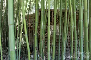 1293 Lake Logan Rd, Canton, NC 28716 - Photo 16