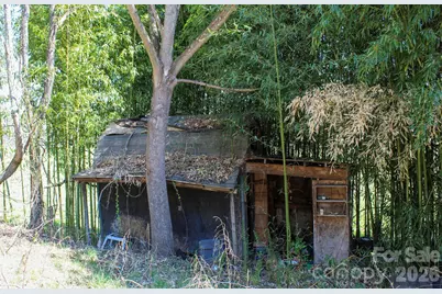 1293 Lake Logan Road, Canton, NC 28716 - Photo 4