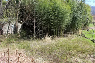 1293 Lake Logan Road, Canton, NC 28716 - Photo 48