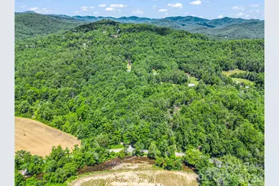 144 Old Homeplace Lane, Mills River, NC 28759 - Photo 42