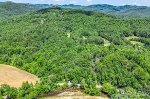 144 Old Homeplace Ln, Mills River, NC 28759 - Photo 42