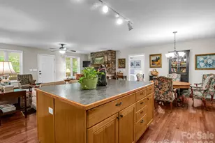 144 Old Homeplace Ln, Mills River, NC 28759 - Photo 16