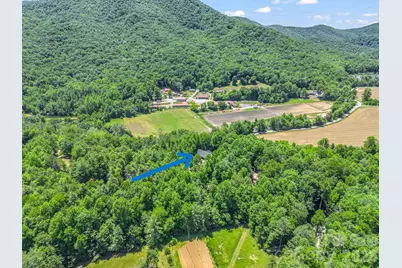 144 Old Homeplace Lane, Mills River, NC 28759 - Photo 40