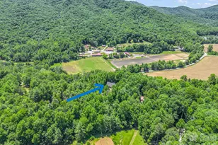 144 Old Homeplace Ln, Mills River, NC 28759 - Photo 40