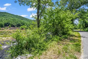 144 Old Homeplace Ln, Mills River, NC 28759 - Photo 32