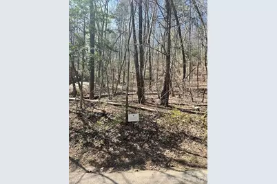 Lot 51 Fairway Drive #51, Lake Lure, NC 28746 - Photo 2