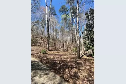 Lot 51 Fairway Drive #51, Lake Lure, NC 28746 - Photo 4