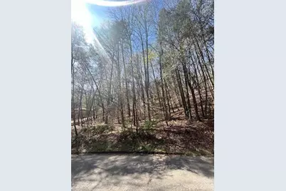 Lot 51 Fairway Drive #51, Lake Lure, NC 28746 - Photo 1