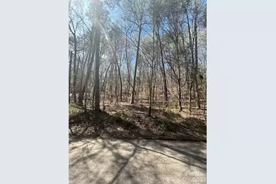 Lot 51 Fairway Drive #51, Lake Lure, NC 28746 - Photo 6