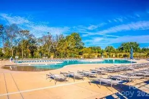 254 Cherrytree Dr, Fort Mill, SC 29715 - Photo 16