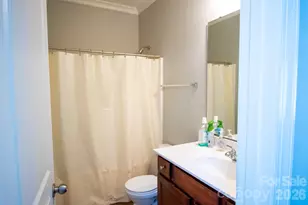 9904 Adelie Ct, Cornelius, NC 28031 - Photo 32