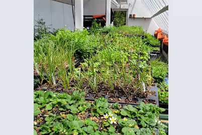 437 Onteora Boulevard, Asheville, NC 28803 - Photo 30