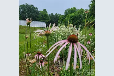 437 Onteora Boulevard, Asheville, NC 28803 - Photo 24