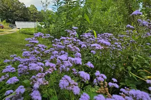 437 Onteora Blvd, Asheville, NC 28803 - Photo 32