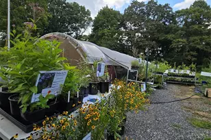 437 Onteora Blvd, Asheville, NC 28803 - Photo 34