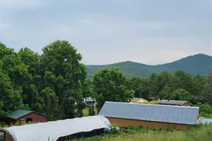 437 Onteora Blvd, Asheville, NC 28803 - Photo 24