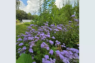 437 Onteora Boulevard, Asheville, NC 28803 - Photo 26