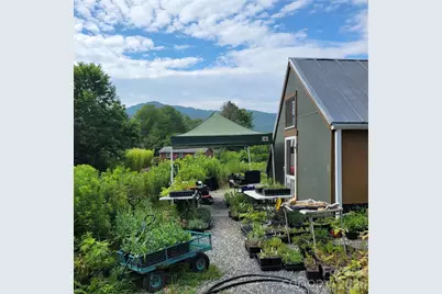 437 Onteora Boulevard, Asheville, NC 28803 - Photo 2