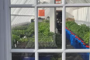 437 Onteora Blvd, Asheville, NC 28803 - Photo 26