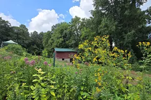 437 Onteora Blvd, Asheville, NC 28803 - Photo 42