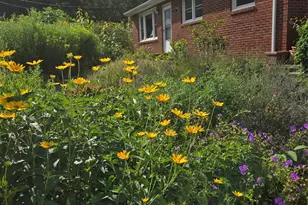 437 Onteora Blvd, Asheville, NC 28803 - Photo 4