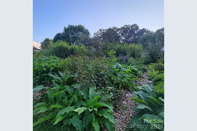 437 Onteora Boulevard, Asheville, NC 28803 - Photo 32