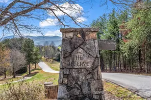 565 Chestertown Dr, Mill Spring, NC 28756 - Photo 4