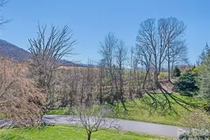 184 Silent Forest Dr, Canton, NC 28716 - Photo 44