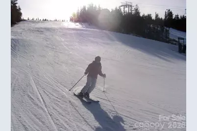 417 Quiet Forest Lane, Sylva, NC 28779 - Photo 36