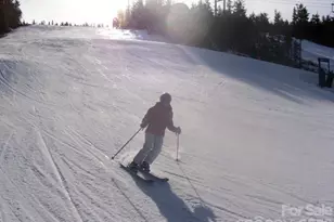 417 Quiet Forest Ln, Sylva, NC 28779 - Photo 36