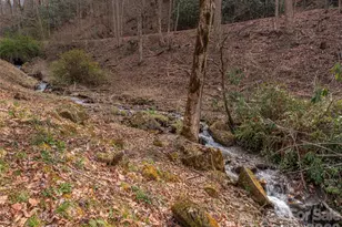 897 Dark Ridge Rd, Sylva, NC 28779 - Photo 26