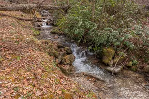 897 Dark Ridge Rd, Sylva, NC 28779 - Photo 28