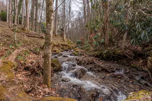 897 Dark Ridge Rd, Sylva, NC 28779 - Photo 2