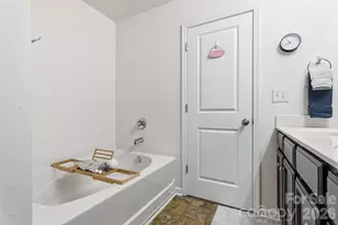 2438 Dewey Creek Ln, Charlotte, NC 28216 - Photo 16