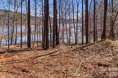 193 Table Rock Trace NW #129, Valdese, NC 28690 - Photo 6