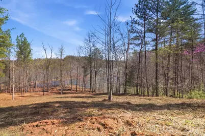 193 Table Rock Trace NW #129, Valdese, NC 28690 - Photo 2