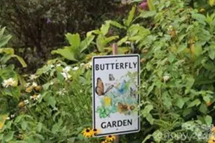 521 Crowfields Ln, Asheville, NC 28803 - Photo 34