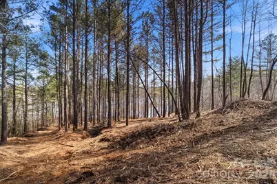 199 Table Rock Trace NW #130, Valdese, NC 28690 - Photo 4