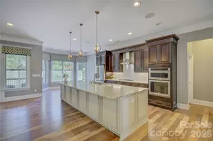 14924 High Bluff Ct, Charlotte, NC 28278 - Photo 12