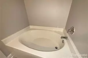 19925 Weeping Water Run, Cornelius, NC 28031 - Photo 14