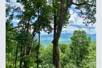 203 Laurel Lane, Little Switzerland, NC 28749 - Photo 46