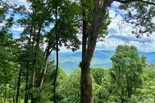 203 Laurel Ln, Little Switzerland, NC 28749 - Photo 46